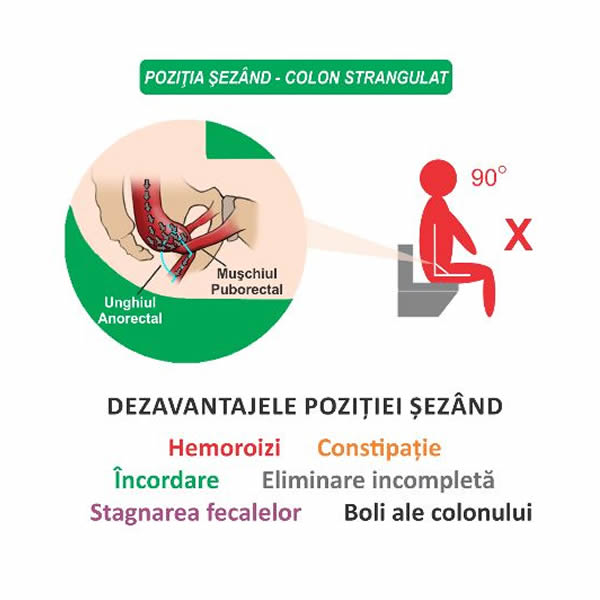 Taburet fiziologic pentru toaleta, Alb