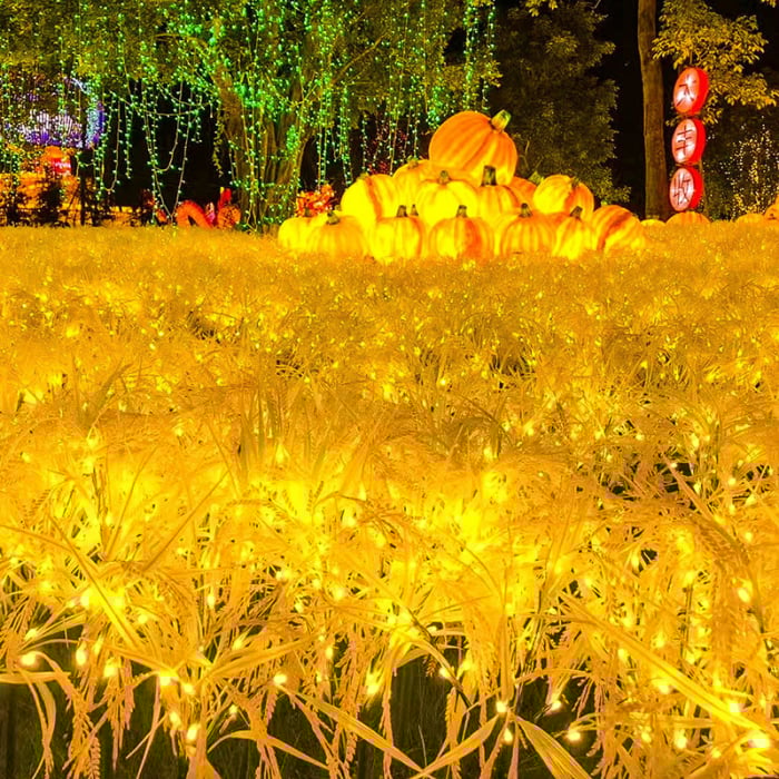 Set 2 x Lampa solara Spice de Grau 60 cm, IP66, LED cu Senzor Lumina