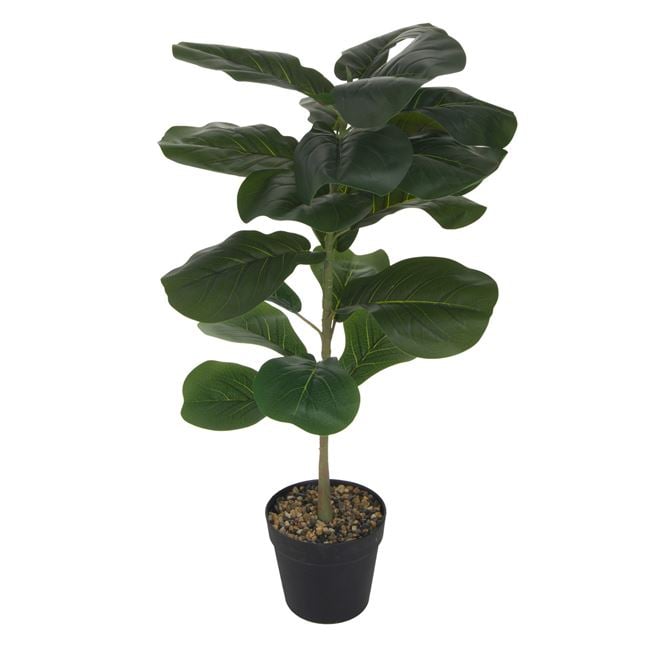 Planta decorativa in ghiveci, Ficus Lyrata, 85 cm