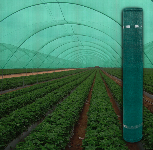 Plasa verde umbrire, 12 M inaltime + Cadou 50 coliere, Opacitate 40%