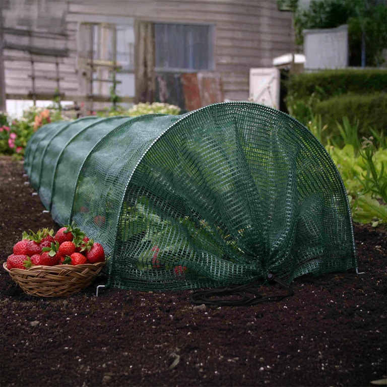 Set 3 x Tunel protectie plante 300x45 cm