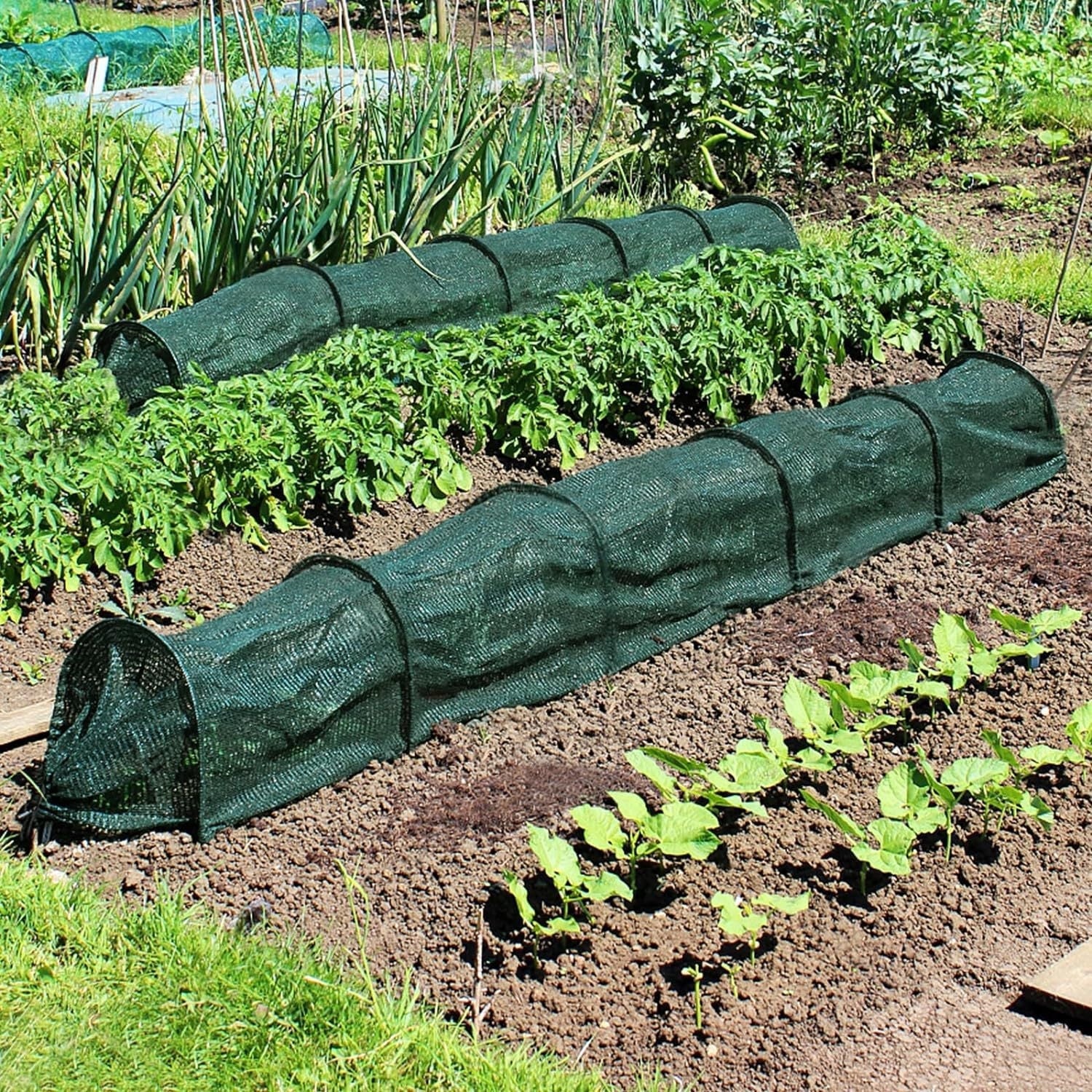 Set 5 x Tunel protectie plante 300x45 cm