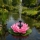 Fantana solara arteziana, floare de lotus, decoratiune Plutitoare