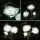 Set 2 x Lampa solara Trandafir Alb, 3 flori LED