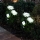 Set 2 x Lampa solara Trandafir Alb, 3 flori LED