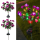 Set 2 x Lampa solara Trandafiri Roz, 7 flori LED, IP66