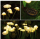 Set 2 x lampa solara 6 LED Jellyfish, Alb cald