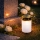 Set 2 x Candela solara LED, lumanare cu efect de flacara, Alb