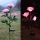 Set 2 x Lampa solara Trandafir Roz, 3 flori LED